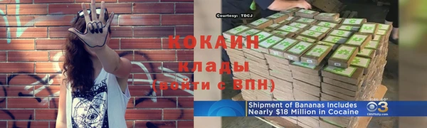 стафф Новодвинск