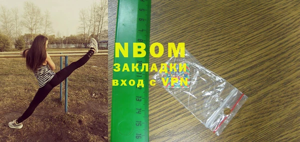 стафф Новодвинск