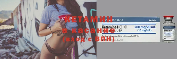 стафф Новодвинск