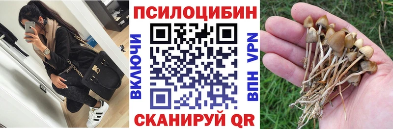 гидра как зайти  сколько стоит  Тарко-Сале  Псилоцибиновые грибы MAGIC MUSHROOMS 